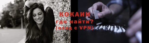гашик Бородино