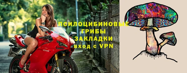 а пвп мука Бугульма