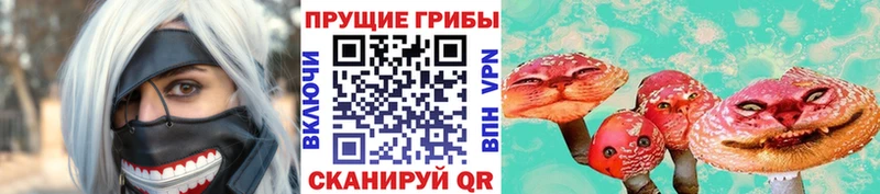 Купить где  Урюпинск  Галлюциногенные грибы Psilocybine cubensis 